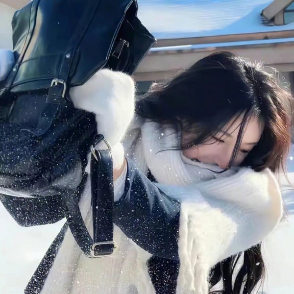 沙滩鼠